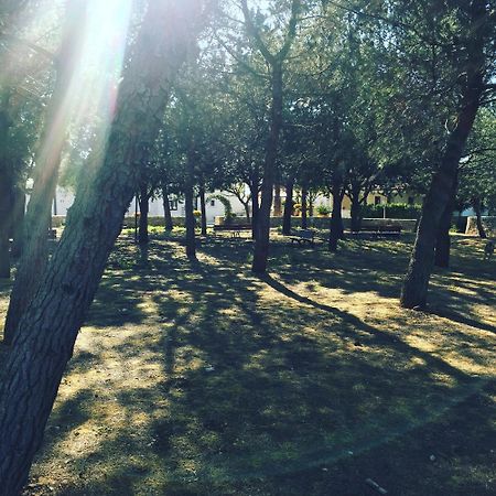 Masseria Gravelle トゥーリ エクステリア 写真