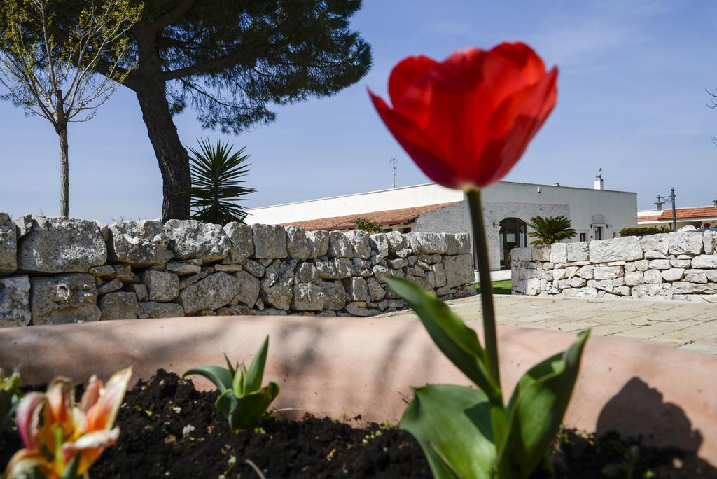 Masseria Gravelle トゥーリ エクステリア 写真