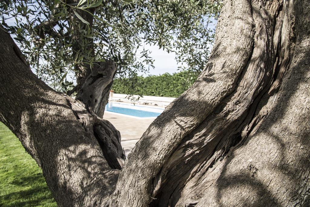 Masseria Gravelle トゥーリ エクステリア 写真